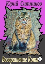 читать Возвращение Кота