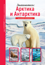 читать Знакомьтесь: Арктика и Антарктика