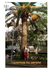 читать Галопом по Европе. Рассказы о путешествиях