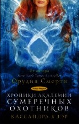читать Хроники Академии Сумеречных охотников. Книга II