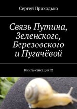 читать Связь Путина, Зеленского, Березовского и Пугачёвой. Книга-сенсация!!!
