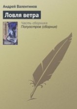 читать Ловля ветра
