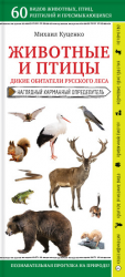 читать Животные и птицы. Дикие обитатели русского леса