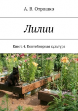читать Лилии. Книга 4. Контейнерная культура
