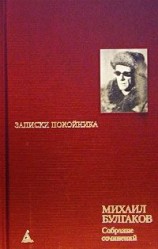 читать Записки на манжетах