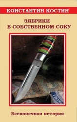 читать Зябрики в собственном соку, или Бесконечная история