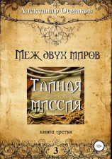 читать Меж двух миров, книга третья: Тайная миссия