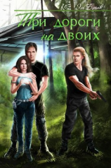 читать Три дороги на двоих