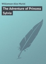 читать The Adventure of Princess Sylvia