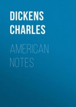 читать American Notes