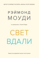 читать Свет вдали. Новые исследования жизни после жизни
