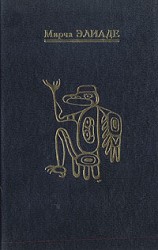 читать Шаманизм: Архаические техники экстаза