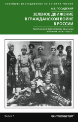 читать Зеленое движение в Гражданской войне в России. Крестьянский фронт между красными и белыми. 19181922 гг.