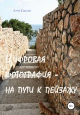 читать Цифровая фотография  на пути к пейзажу