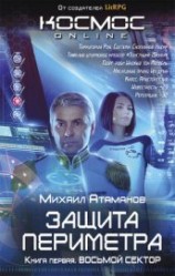 читать Защита Периметра. Восьмой сектор