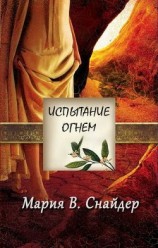 читать Испытание огнем (др. перевод) (ЛП)