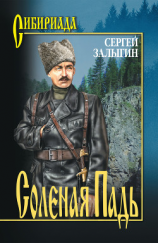 читать Соленая Падь