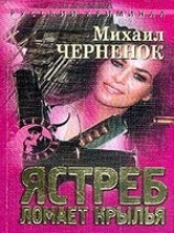 читать Ястреб ломает крылья