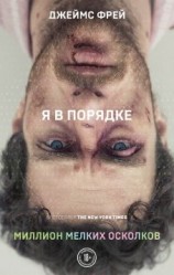 читать Миллион мелких осколков