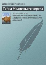читать Тайна Медвежьего черепа