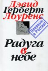 читать Радуга в небе