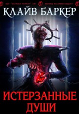 читать Истерзанные души: легенда Примордия (ЛП)