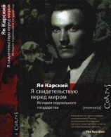 читать Коммунисты уходят в подполье (Подпольный обком действует - 1)