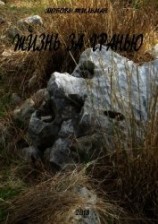 читать Жизнь за гранью