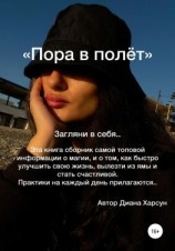 читать Пора в полёт