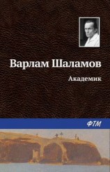 читать Академик