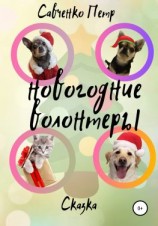 читать Новогодние волонтеры