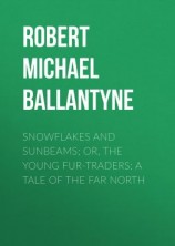читать Snowflakes and Sunbeams; Or, The Young Fur-traders: A Tale of the Far North