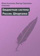 читать Бюджетная система России. Шпаргалка