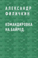 читать Командировка на Байред