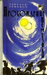 читать Прохождение Немезиды (Сборник)