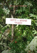 читать Лето  время чудес