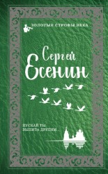 читать Пускай ты выпита другим…