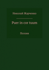 читать Puer in cor tuum. Сборник стихотворений