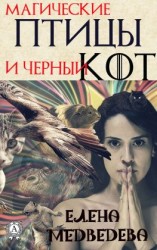 читать Магические птицы и чёрный кот