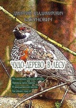 читать Чудо-дерево в лесу