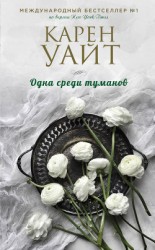 читать Одна среди туманов