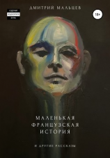 читать Маленькая Французская История и другие рассказы