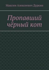 читать Пропавший чёрный кот