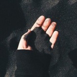 читать Парцелляция