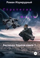 читать Стратегия Мести